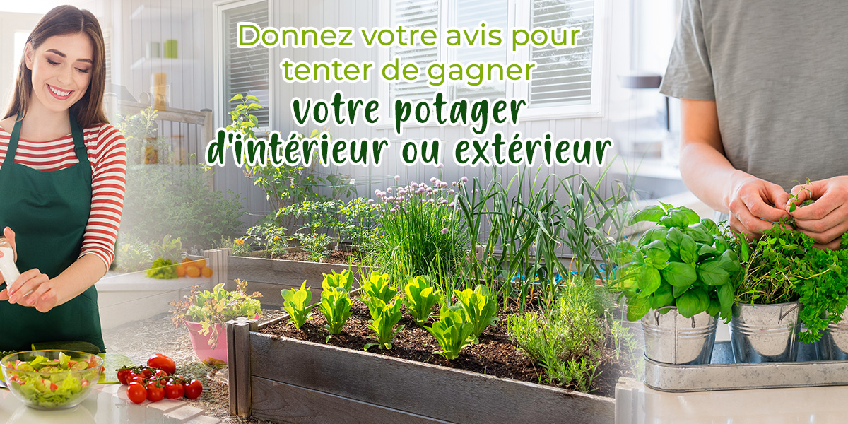 Donnez votre avis pour tenter de gagner votre potager d'intérieur ou extérieur